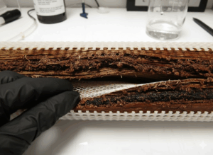 5 Expert Ways to Prevent Ultrafiltration Membrane Fouling and Extend Lifespan